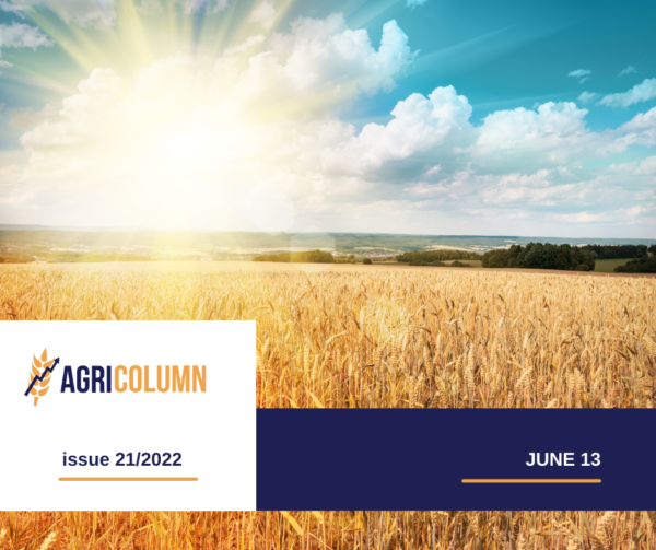 2022 06 13 Romanian AGRI Column KV ENG